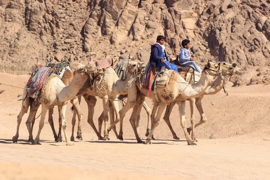 Sharm El-Sheikh: Morning Desert ATV Quad or Buggy Adventure - Guides and small extras: what to expect from the people running it