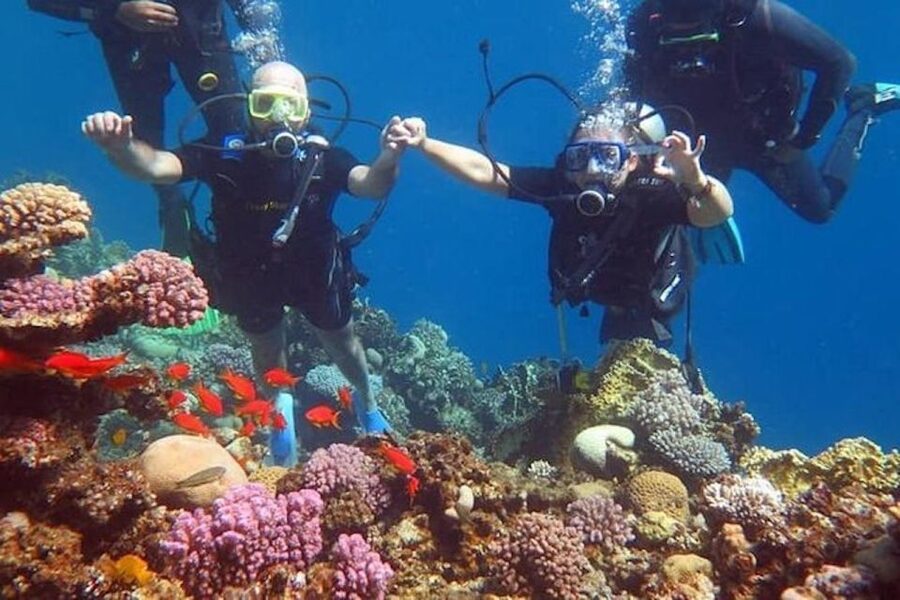 Sharm El-Sheikh: Parasailing, Camel Ride, Dive & Quad Bike - How this Sharm-El-Sheikh combo tour keeps you moving