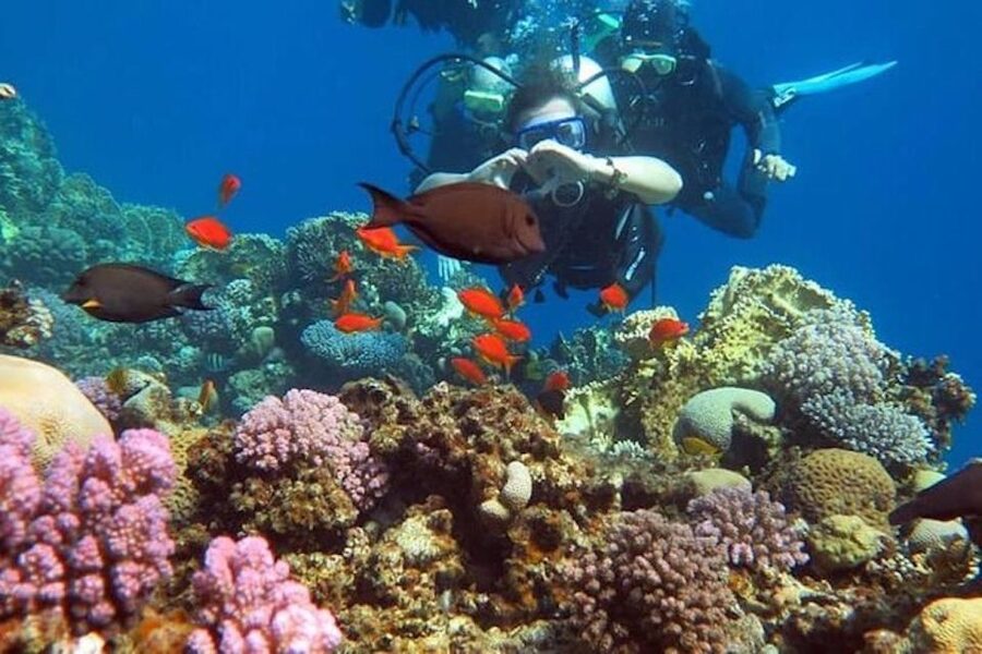 Sharm El-Sheikh: Parasailing, Camel Ride, Dive & Quad Bike - Banana boat and tube ride: the splashy second act