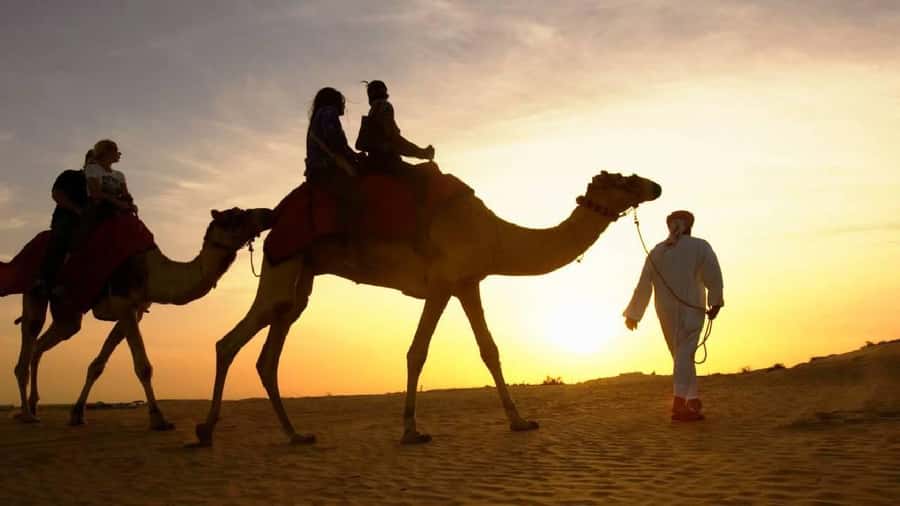 Sharm El Sheikh: Quad Biking, Camel Ride & Bedouin Dinner. - Key Things You’ll Notice