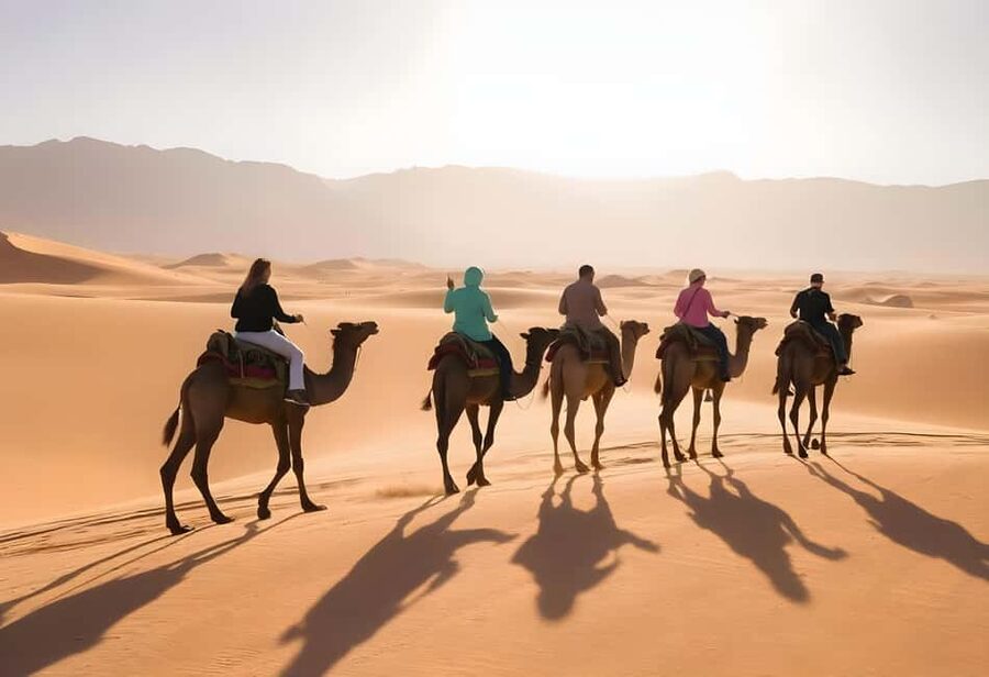 Sharm El-Sheikh: Ultimate ATV Quad, Stargazing & BBQ Dinner - Group size, language mix, and the pace of the day