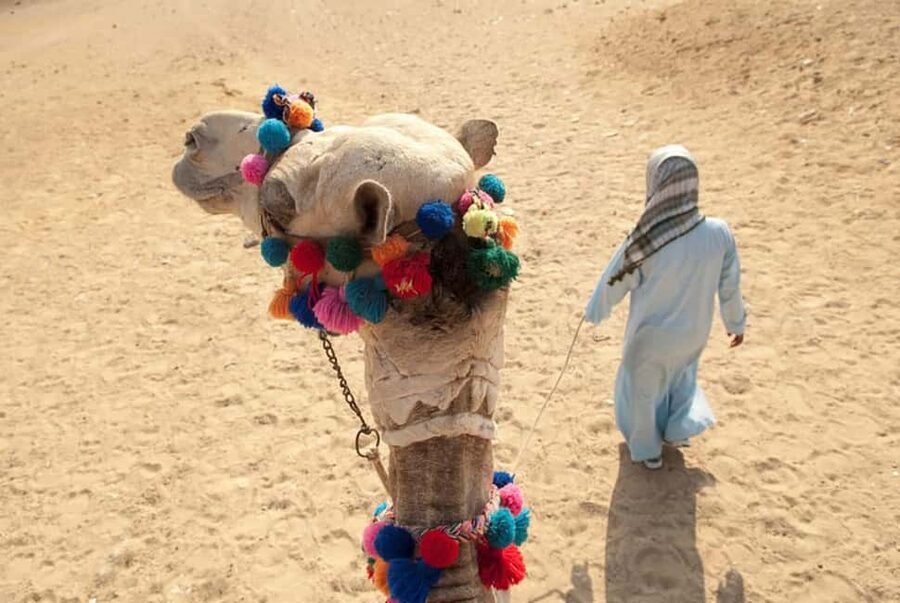 Sharm El-Sheikh: Ultimate ATV Quad, Stargazing & BBQ Dinner - What to pack (and what to avoid) for an easier day