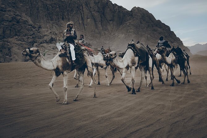 Sharm: Quad Bike or Car Buggy, Camel ride & optional VIP Bedouin Dinner & Show - The Eco-Sound Photo Stop: Calling Your Name in the Mountains