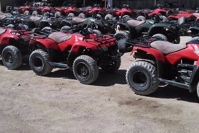 Sharm: Quad Bike or Car Buggy, Camel ride & optional VIP Bedouin Dinner & Show - Common Gotchas to Watch For (scarves, quads condition, and water)