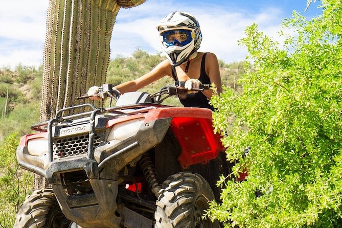 Sidewinder ATV Training & Centipede Tour Combo - Guided ATV Training & Tour - Who This Tour Fits Best (and Who Should Rethink It)