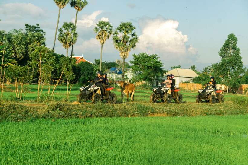 Siem Reap: Quad Bike Tour of Local Villages - Rice Paddies at Golden Hour: The Sunset Stop