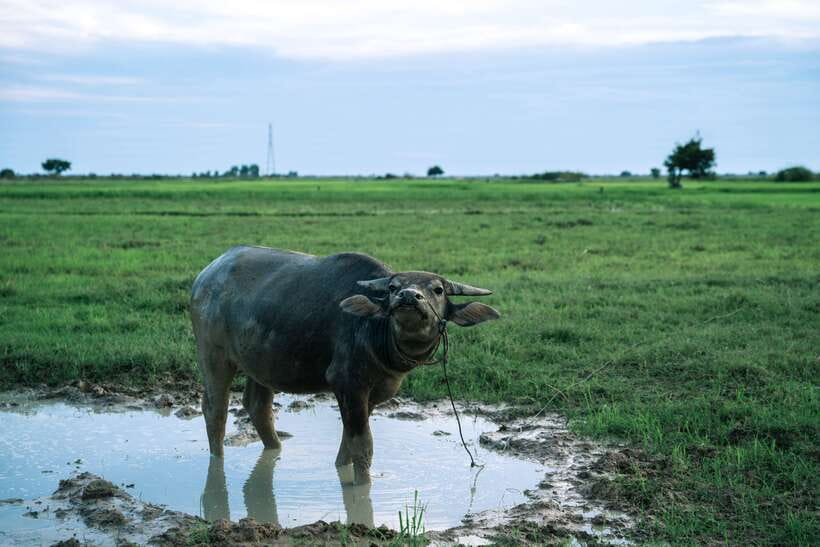 Siem Reap: Quad Bike Tour of Local Villages - What to Bring for a Muddy, Sunset-Focused Quad Ride