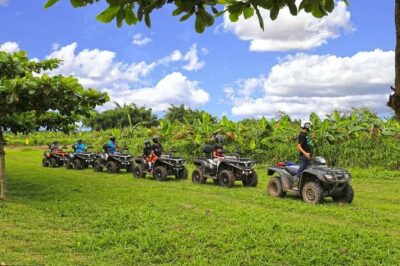 Single ATV Experience: Free Piña Colada + Hacienda Transfer - Hacienda Campo Rico Trails: Hills, Mangroves, Lagoons, and Photo Stops