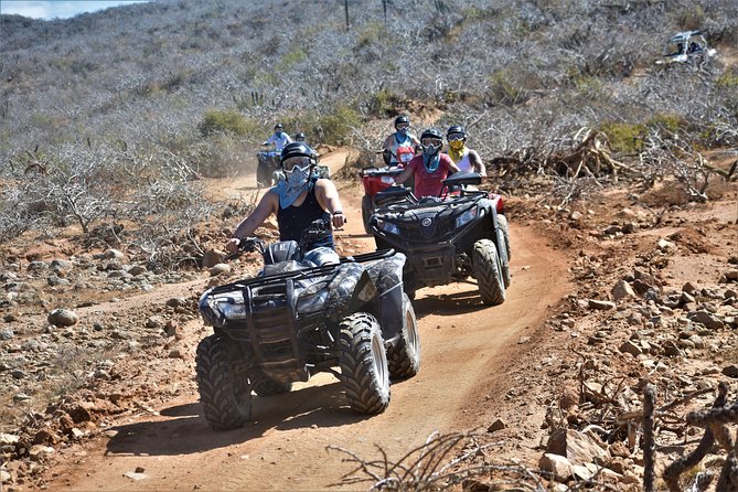 Single ATV Tour from Migriño Beach & Desert - The Route: Migriño Beach, Mangroves, Desert Dunes, and Pacific Views