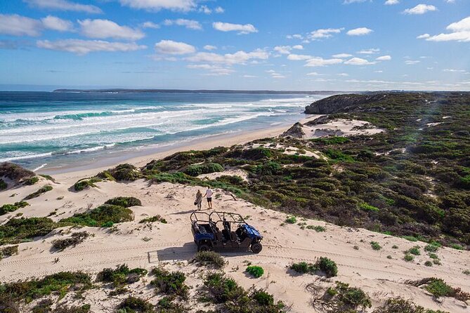 Small-Group Buggy Tour at Little Sahara with Guide - Key Points Before You Go