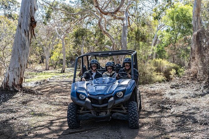 Small-Group Buggy Tour at Little Sahara with Guide - The Small-Group Format (and Why It Matters on Rough Ground)