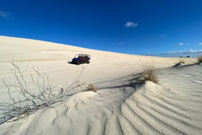 Small-Group Buggy Tour at Little Sahara with Guide - Stop 1: Little Sahara Gum Forests and the Eleanor River