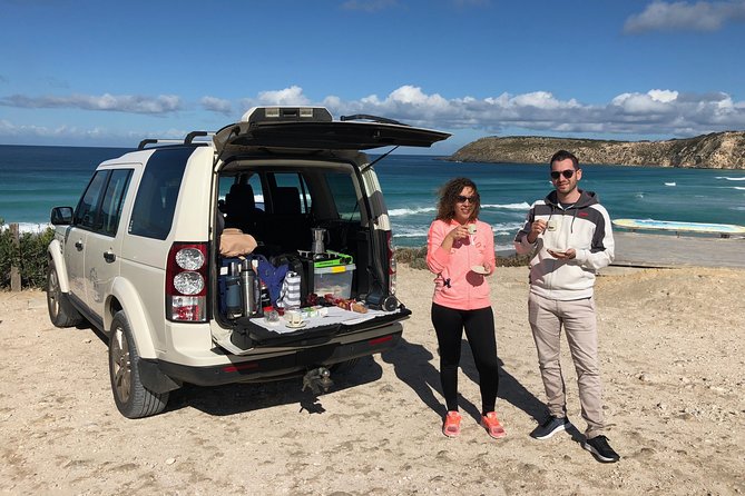 Small-Group Buggy Tour at Little Sahara with Guide - Wildlife Spotting: What to Watch For (Beyond Just Koalas)