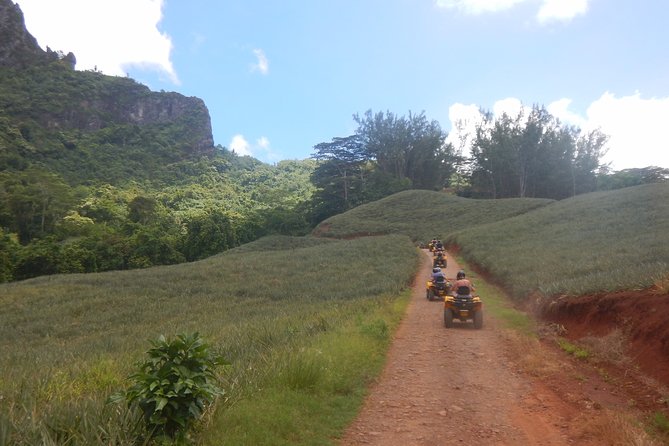 Small Magic Combo 3h30 of Quad + 1H00 of Jetski - Quad backroads from Opunohu: where the views start