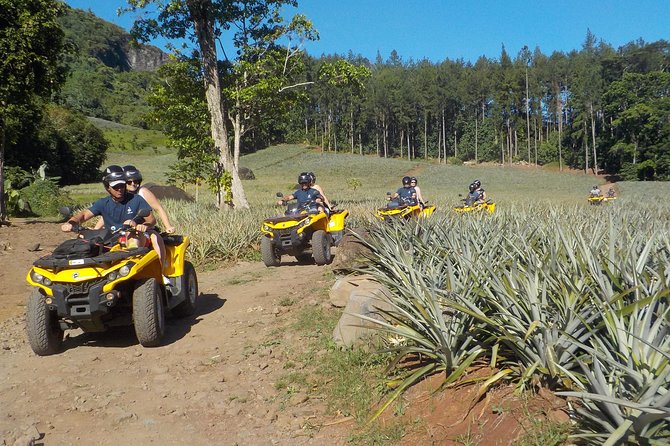 Small Quad Tour 2h30 Quad excursion in Moorea (single or two-seater) - Stop for pineapples at Lycée Agricole Opunohu