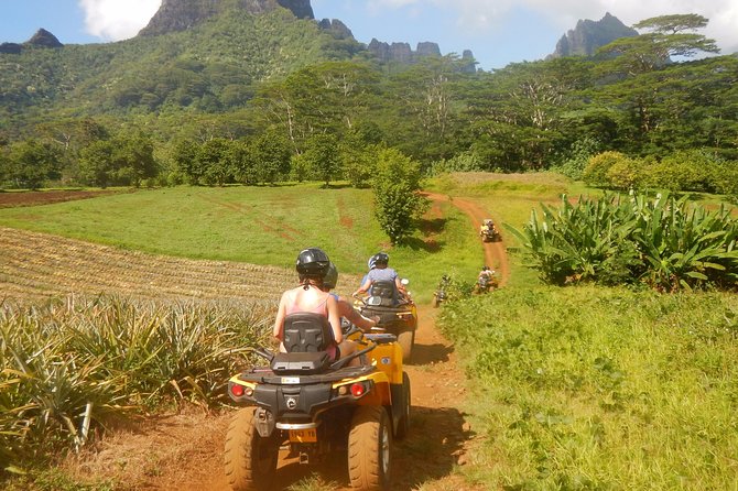 Small Quad Tour 2h30 Quad excursion in Moorea (single or two-seater) - Belvedere lookout for Cook and Opunohu Bay views