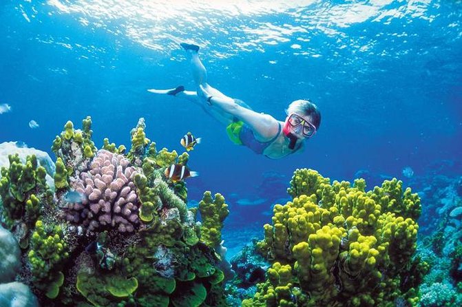 Snorkel, ATV, Zipline and Cenote Adventure from Cancun - Puerto Morelos Reef Stop: Angel Snorkeling and the Speed Boat Start