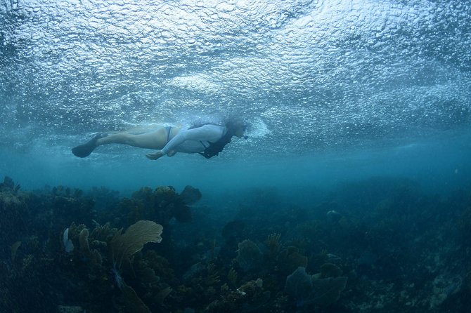 Snorkel, ATV, Zipline and Cenote Adventure from Cancun - Who Should Book This Adventure (and Who Should Skip It)