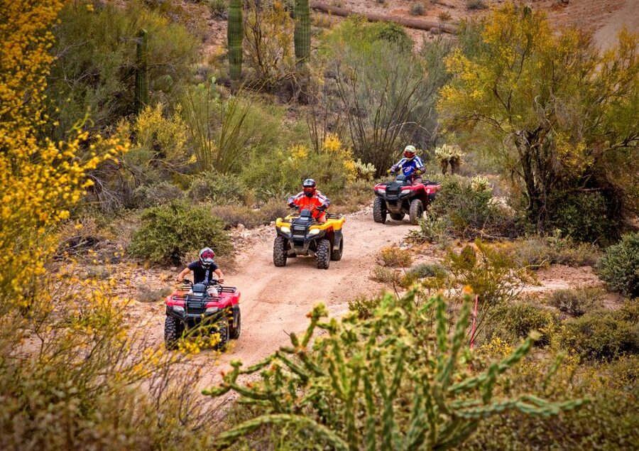 Sonoran Desert: Guided UTV or ATV Desert Tour - Key highlights at a glance