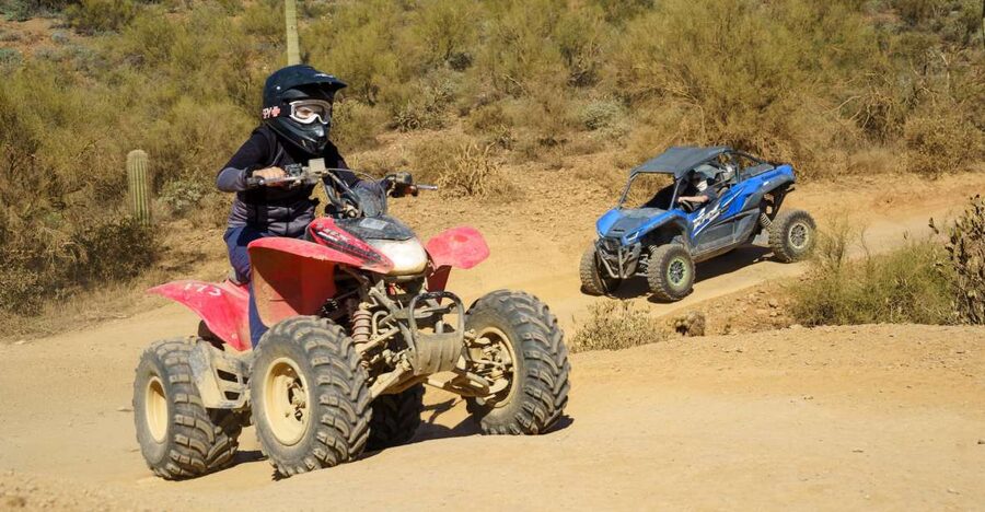 Sonoran Desert: Guided UTV or ATV Desert Tour - The Sonoran Desert, minus the hassle