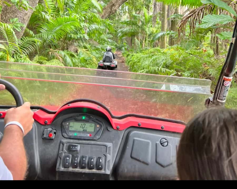 South Mauritius : Buggy Tour - Stop 3: Royal Palm Forest (Dust, Mosquitoes, and Eye Protection)