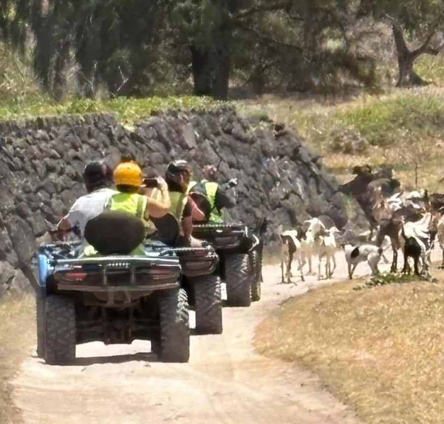 South of Mauritius: Quad Bike Tour - La Cambuse Beach Swim: Cool Off Like You Mean It
