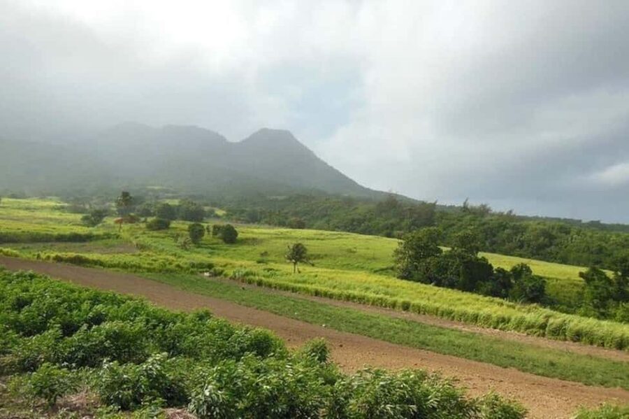 St Kitts: Jungle Bikes Off-Road ATV Tour - From Your Door to ATV Briefing: How the 3 Hours Actually Feel