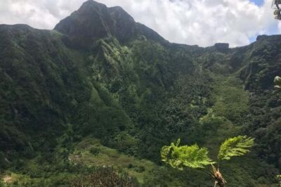 St Kitts: Jungle Bikes Off-Road ATV Tour - Price and What Makes It Good Value (No, It’s Not Just the Ride)