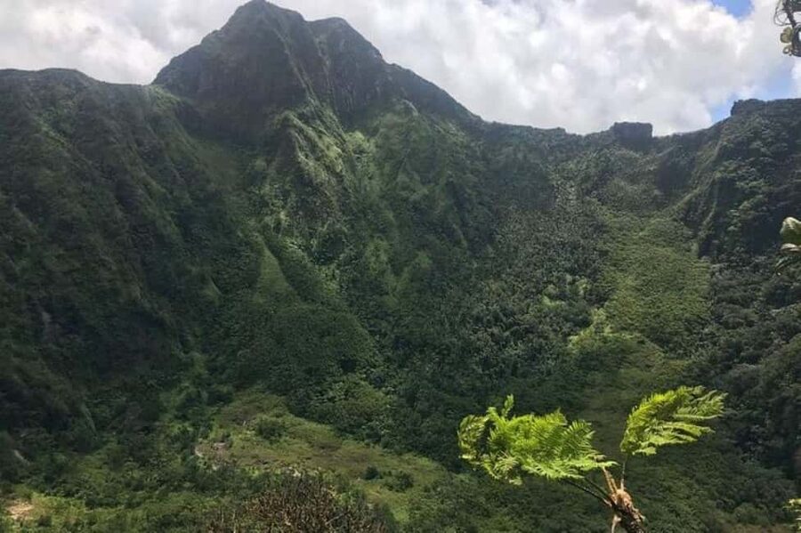 St Kitts: Jungle Bikes Off-Road ATV Tour - Price and What Makes It Good Value (No, It’s Not Just the Ride)