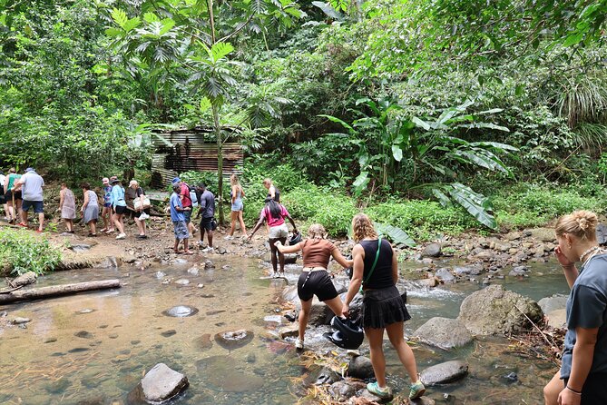 St Lucia ATV Tour : Waterfall, Plantation, Beach and Distillery - Beach riding and the Clive’s rum punch stop