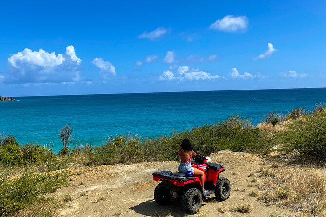 Sun & Fun Combo Jetski/ATV - Coralita Beach Iguanas: Short Stop, Real Nature Moment