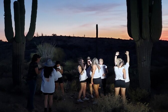 Sunset ATV/UTV 2 Person Sand Buggy Off-Road Tour Scottsdale - After sundown: what the night critter hunt is really like