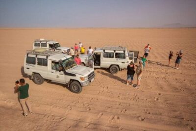 Sunset Dessert Safari by Quad Bike - What You’ll See on the Drive: Desert Life, Wildlife, and Stops That Feel Real