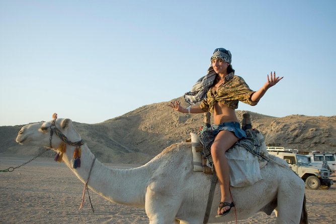 Super Safari Adventure ATV Quad & Camel Ride & Dinner - Hurghada - Dinner and the Bedouin Show: Food Plus Performance