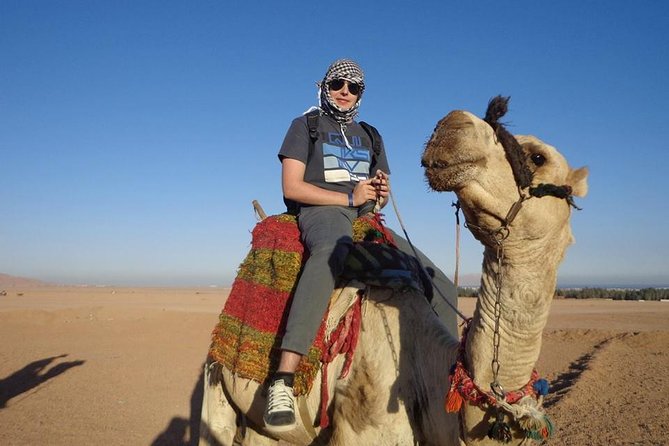 Super Safari ATV, Buggy Car, Camel Ride, Bedouin Dinner -Hurghada - Getting There from Your Hurghada Hotel (and What That Means for Your Day)
