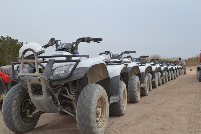 Super Safari ATV, Drive Buggy Car, Camel Ride, Bedouin Dinner, Show-Hurghada - Camel ride around the village: serene views with real caveats