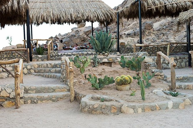 Super Safari, ATV & Sunset, Camel Ride With Dinner - Marsa Alam - Sunset barbecue dinner under open sky