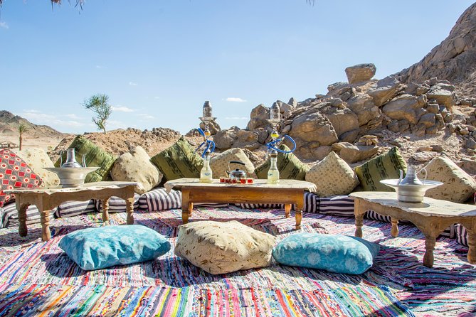 Super Safari, ATV & Sunset, Camel Ride With Dinner - Marsa Alam - Who this safari is best for