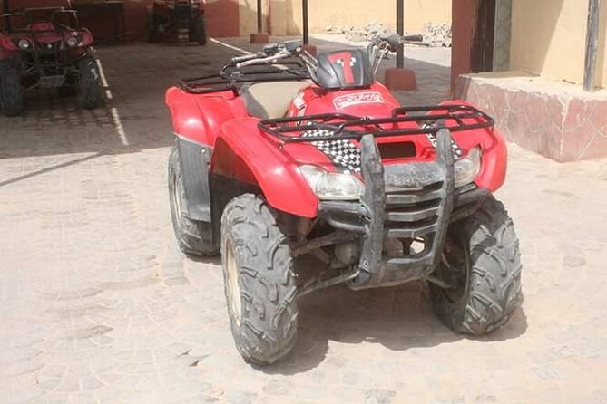 Super Safari ( Jeep - Quad- Buggy car-folklore-BBQ dinner) - Bedouin Camp Stop: Tea, Camel Ride, and a Reptile House