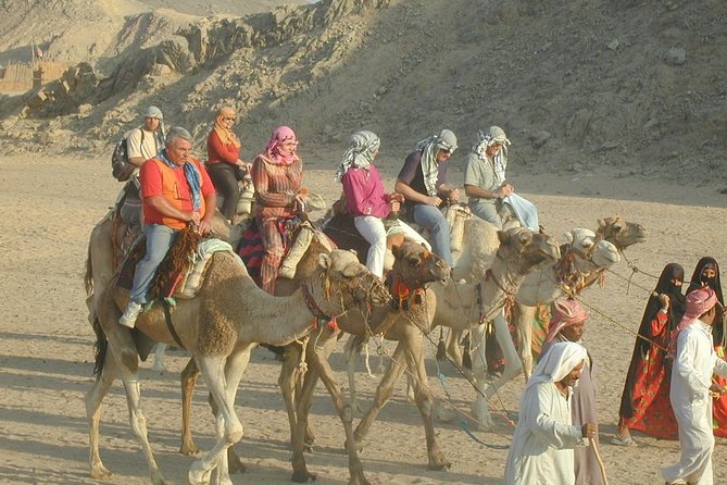 Super Safari ( Jeep - Quad- Buggy car-folklore-BBQ dinner) - Price Value: What About $23 Really Covers