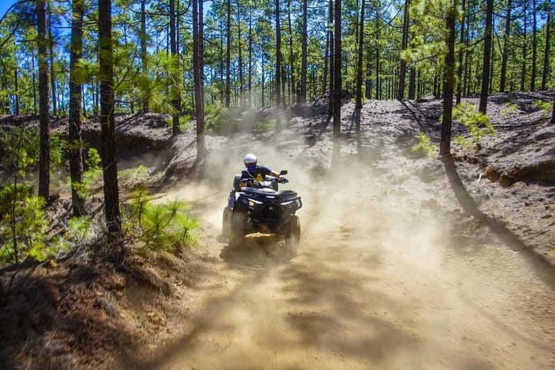 Teide Quad Tour - Tenerife - Key things that make this Teide quad tour worth your time
