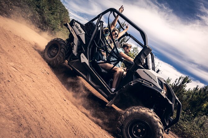 Tenerife: Guided Buggy Discovery Tour around Mount Teide - Key things you will notice on this Tenerife buggy tour