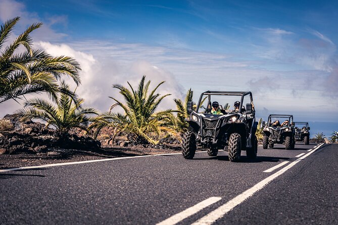 Tenerife: Guided Buggy Discovery Tour around Mount Teide - Tamaimo launch: the moment the roads turn into tracks