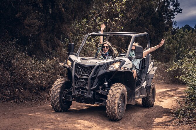 Tenerife: Guided Buggy Discovery Tour around Mount Teide - Mirador Lomo Molino: where Teide starts to feel real
