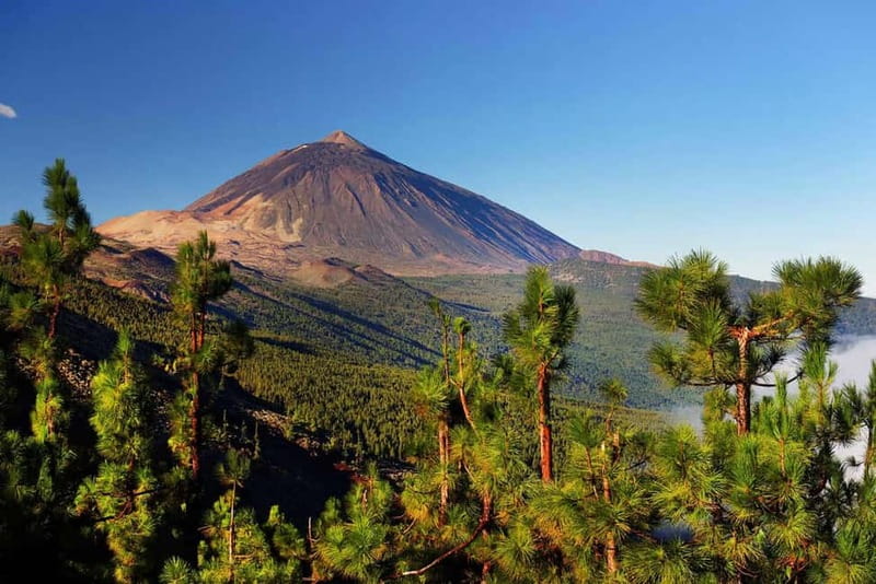 Tenerife: Jet Ski Tour with Optional Quad Trip - The Snorkel Swim Break on the 2-Hour Jet Ski Option