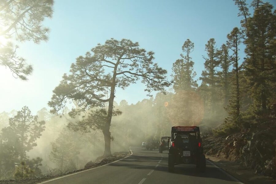 Tenerife: Morning or Sunset Teide Buggy Tour - Teide National Park: rise above the clouds and learn what you’re seeing