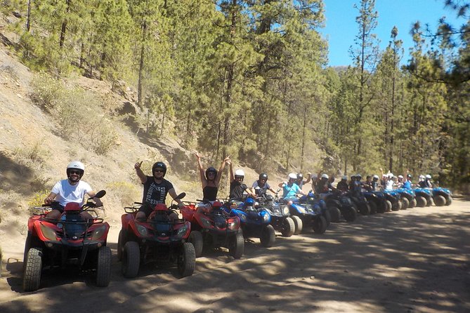 Tenerife: Quad Adventure Teide Tour - Quad up Teide: what this tour gets right