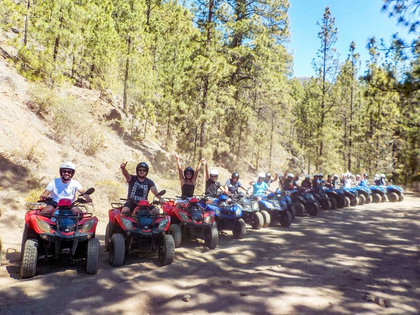 Tenerife: Quad Adventure Tour in Teide National Park - Who should book this quad tour, and who should skip it