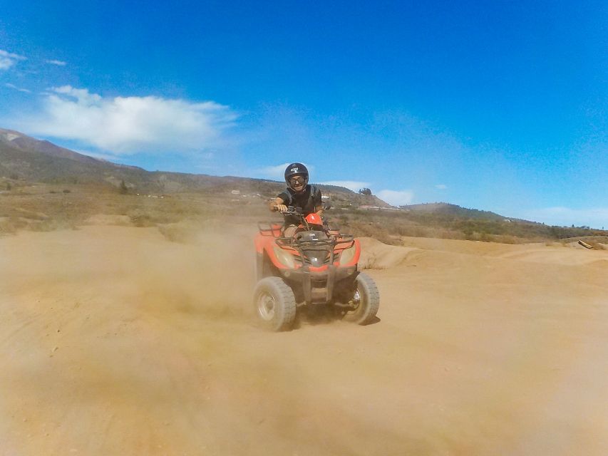 Tenerife: Quad Adventure Tour in Teide National Park - Las Cañadas del Teide: the high-altitude viewpoints that make the hours worth it