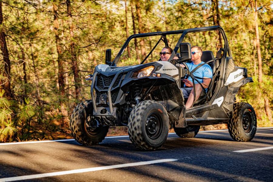 Tenerife: Teide Mountain Buggy On-Road GuidedTour with drink - Checking in at Hub Excursions in Chío: timing, paperwork, and pickup reality